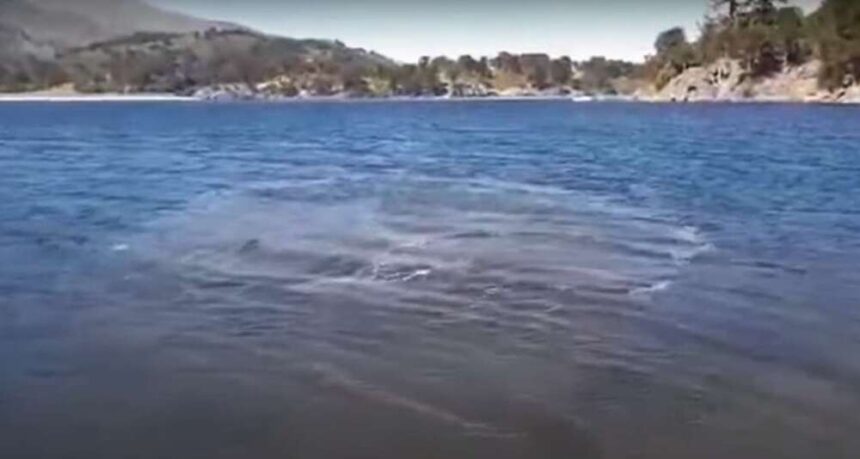 Captura del video registrado por un guardaparque en el lago Ruca Choroi, Neuquén
