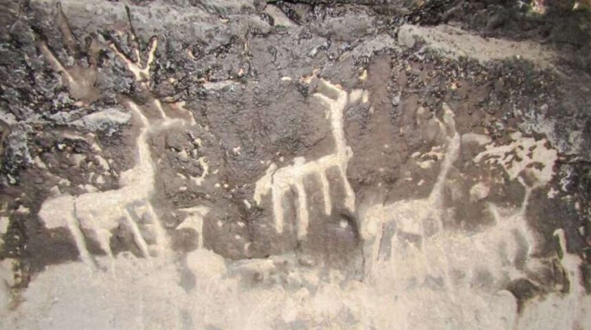 Arte rupestre y objetos de poblaciones prehispánicas se hallaron en una cueva cerca de Junín de los Andes.
