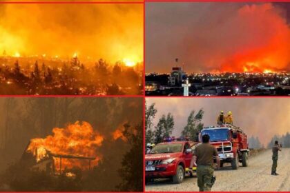 Desesperante situación en varias regiones de Chile por los incendios forestales.