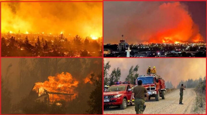 Desesperante situación en varias regiones de Chile por los incendios forestales.
