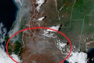 La presencia del humo y también de la formación de tormentas que pueden aliviar el combate de incendios, en la imagen satelital.