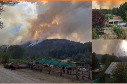 Incendios forestales en Epuyén y El Bolsón