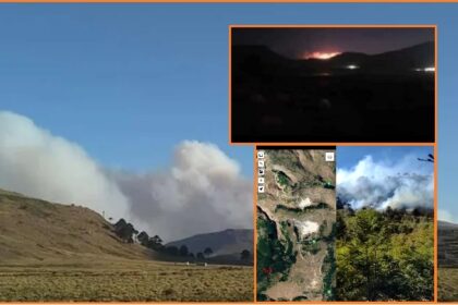 Incendio en Chile afecta a crianceros de Neuquén