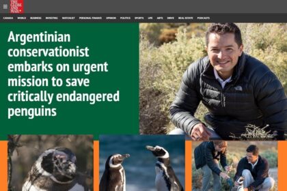 Destacan en Canadá el trabajo con pingüinos en la Patagonia